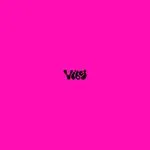 The Party Name Is Vibes