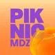Piknic Mendoza